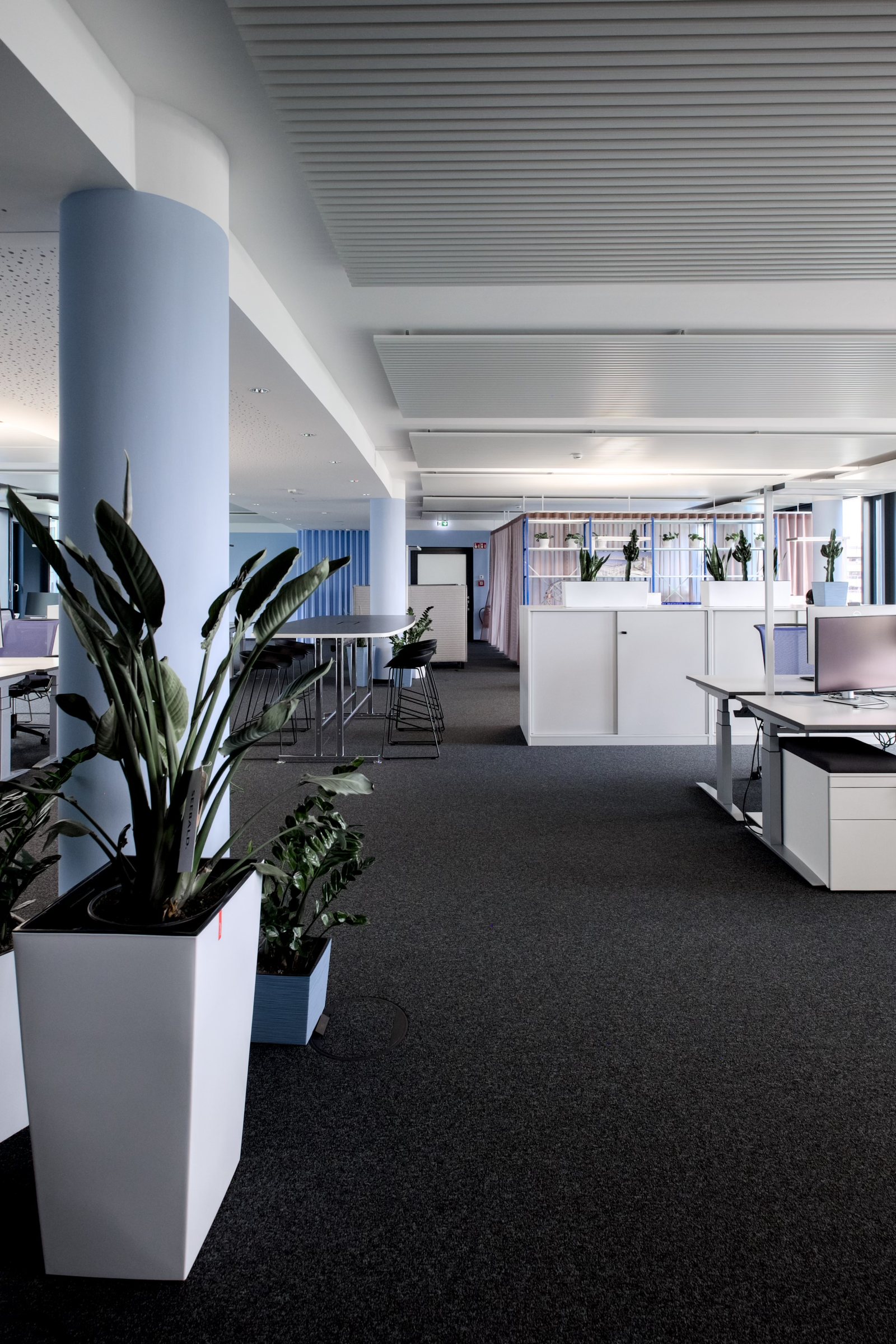 GP Center 5